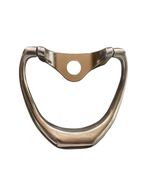 Silver door knocker